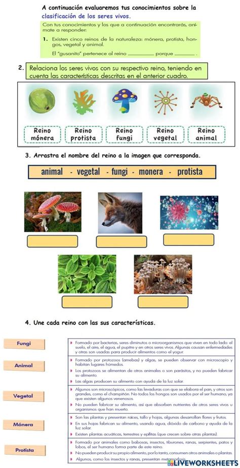 Ejercicio Interactivo De Clasificación De Los Animales Para Grade 3