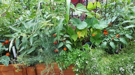 An oasis sanctuary in your backyard: The best space for your kids to