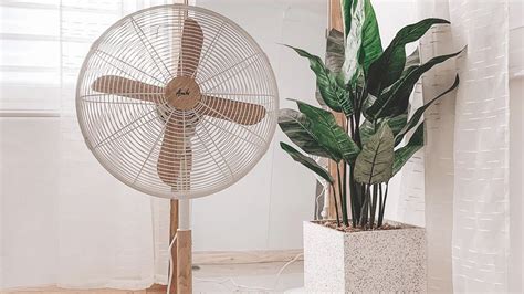 Asahi Aesthetic Electric Fan With Wooden Accent