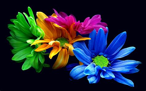 354 Blue Flower Hd Wallpapers Background Images Wallpaper Abyss