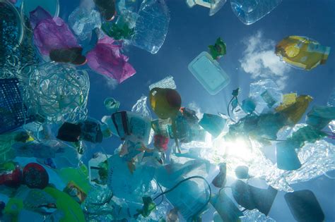 Science Newsletter 5 The Great Barrier Reef And Plastics In The World