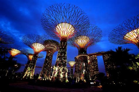 4k 5k Gardens By The Bay Singapore Gardens Night Street Lights