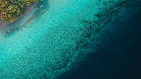 Download Tropical Sea Beach Blue Green Maldives 1920x1080 Wallpaper