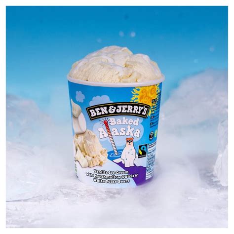 Ben & jerry's baked alaska. Ben & Jerry's Baked Alaska 465ml | Ocado