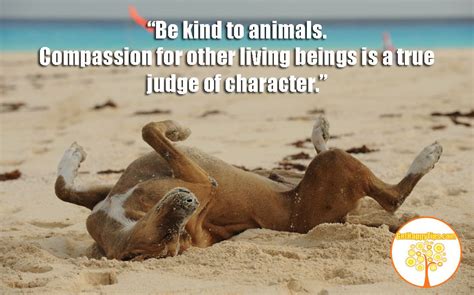 24 Best Kindness To Animals Quotes Home Inspiration And Ideas Diy