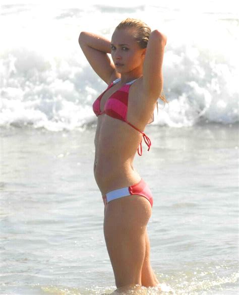 Hayden Panettiere X Celebrity Photo Picture Hot Sexy Ebay