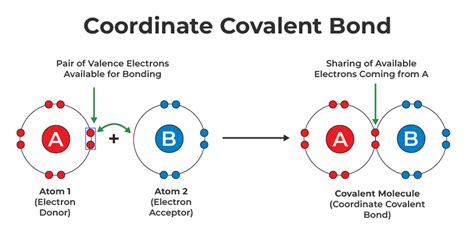 Covalent Bond Definition Examples Types Properties And Faq 2023