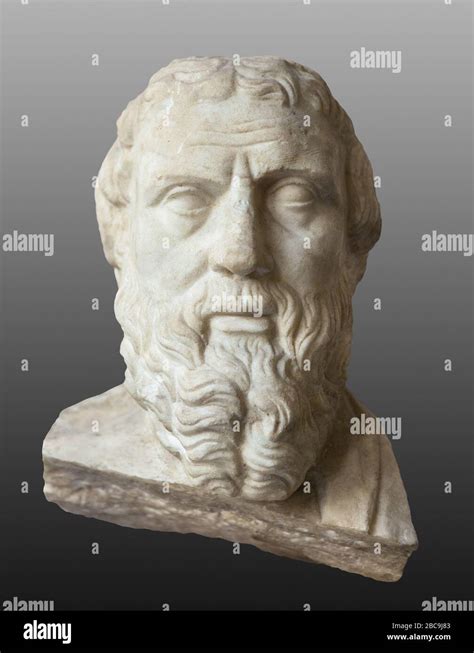 Herodotus Bust Of Ancient Greek Historian Stock Photo Alamy