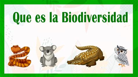 Que Es La Biodiversidad 🕷🐅🌳🐦 Y Cuales Son Los Factores Que La Afectan