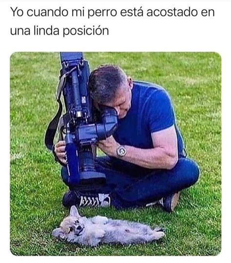 Yo Cuando Mi Perro Está Acostado En Una Linda Posición Memes