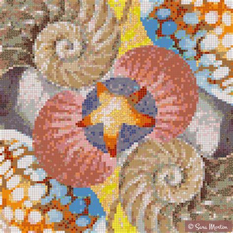 Nautilus Shell And Sea Star Mosaic By Artist Sara Morton