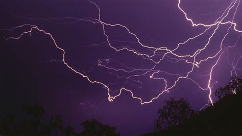 Wallpaper Night Nature Fish Lightning Natural Light Thunder