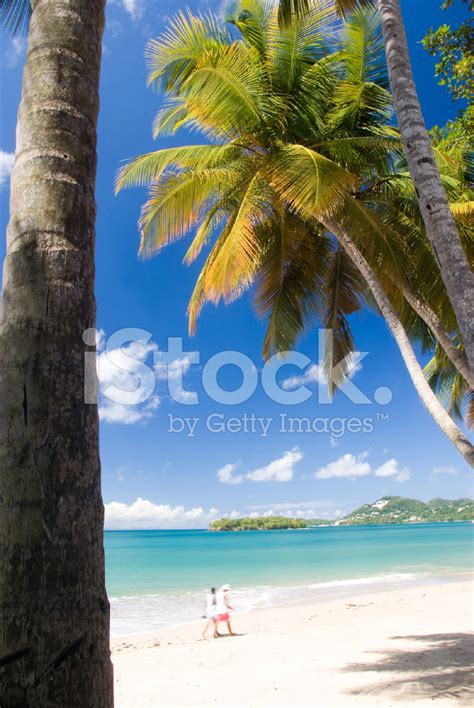 Romantic Couple Walking On Caribbean Beach Stock Photo Royalty Free