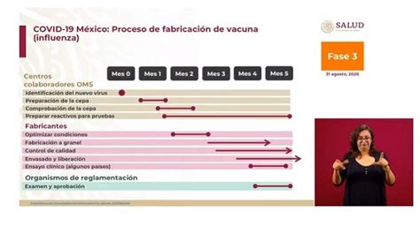 El proceso de vacunación elaborado por el ministerio de salud se realizará de manera gradual y progresiva, de acuerdo a la cantidad de dosis que vayan llegando al país. Calendario Vacunacion Covid Mexico - Cuando Llega La ...