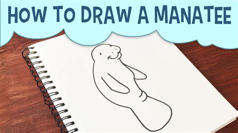 Learn How To Draw A Manatee Cartoon Easy Step By Step Manatee Drawing