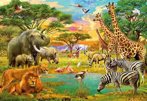 Afrykańskie Zwierzęta Fototapeta