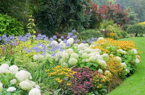 Perennial Flower Garden Design Plans Image To U