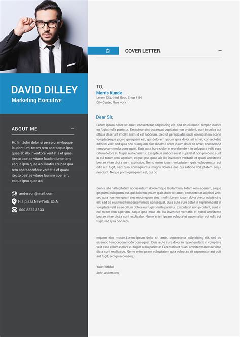 Free Professional Cv Template And Cover Letter For Marketing Executives
