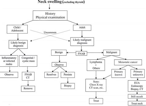 Diagnostic Approach To Different Causes Of Neck Swellings Faculty Of