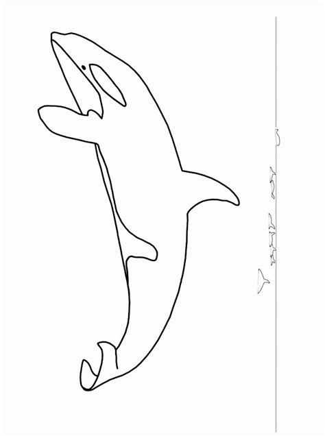 Explore 623989 free printable coloring pages for your kids and adults. Orca Coloring Page - Coloring Home