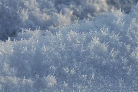 Snow Crystal Stock Photo Image Of Snow Lake Fence 65736680