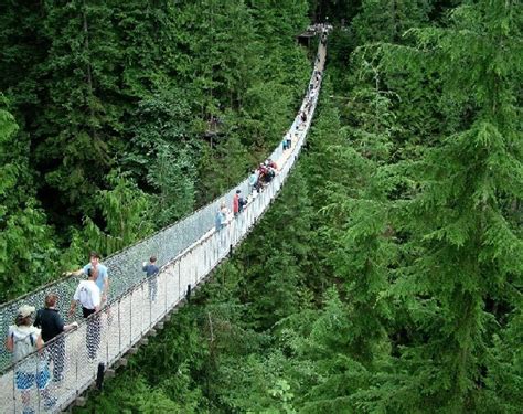 People Walking Across The Capilano Suspension Bridge In Vancouver Bc