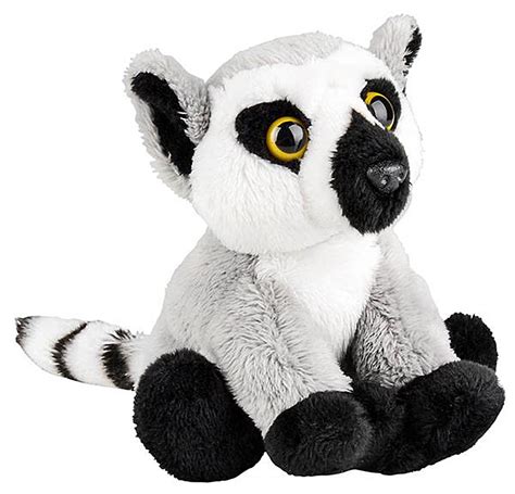 It offers a closer look at drawing animal eyes and whiskers among other features of your feline friends. 5 Inch Stuffed Ring-Tailed Lemur Baby Zoo Animal Plush Floppy Babies in 2020 | Baby zoo animals ...