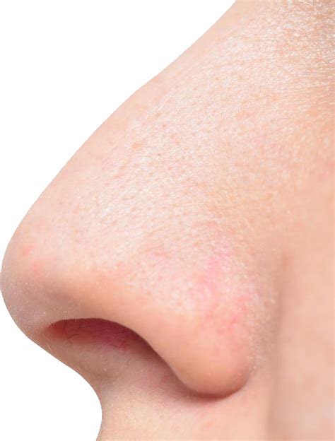 Human Nose Png