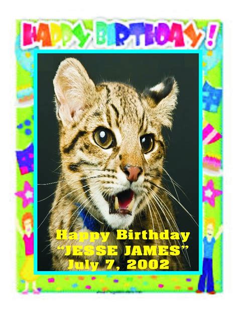 Animal Rentals Blog Blog Archive Happy Birthday Jesse James