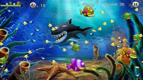 Feeding Frenzy Eat Fish Apk For Android Download