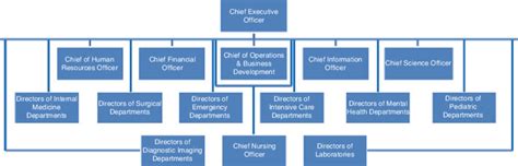 Hospital Organizational Structure Chart 22 Free Hospital