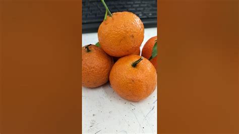 Very Sweet Kiat Kiat Oranges Youtube