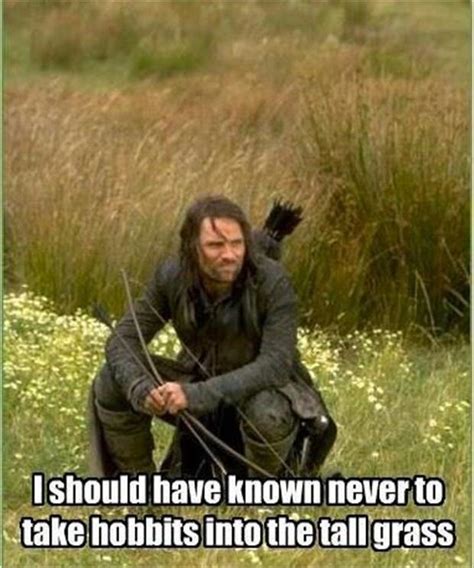 Funny Pictures Lord Of The Rings Dump A Day