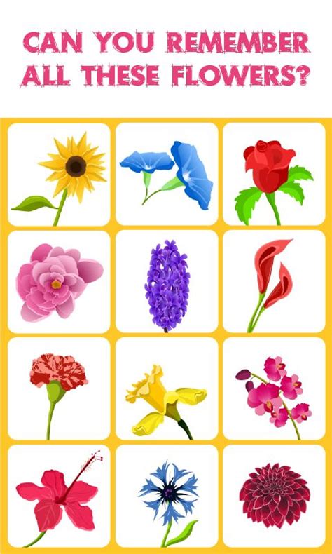 Incredible memory game that will help you improve your visual acuity and practice your memory. Flowers Match: Memory Game: is a concentration-style ...
