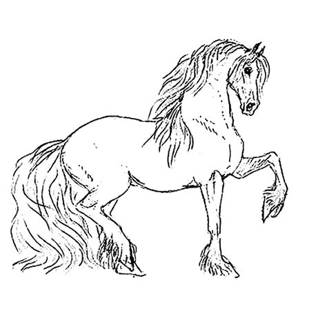 Kleurplaat barbie met paard, kleurplaat met paarden, kleurplaat paard met ruiter, kleurplaat paard met veulen, kleurplaat paardenhoofd. Kleurplaat Paarden : Paard en Veulen | Boerderij ...