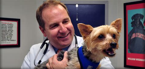 Click here to see our training calendar. Dog Veterinary Care | Dog Wellness Care | Frederick Vet ...