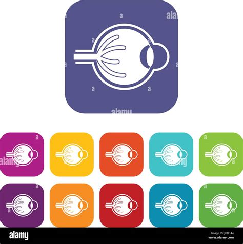 Human Eyeball Icons Set Stock Vector Image And Art Alamy