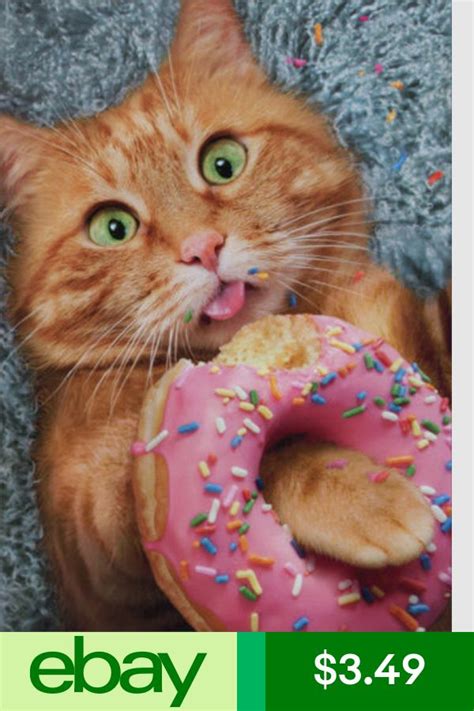 Cat Eating Donut Avanti Funny Birthday Card Greeting Card By Avanti Press 12615721010 Ebay