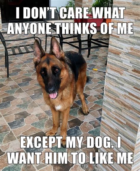 Browse +200.000 popular quotes by author, topic, profession. 30+ Best German Shepherd Quotes and Sayings | Page 6 of 8 | The Paws