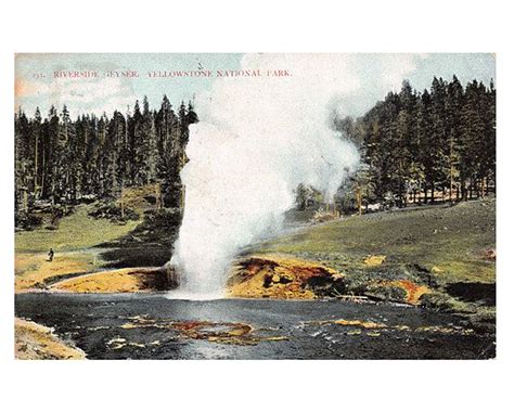 Yellowstone National Park Wyoming Antique Postcard Riverside Geyser