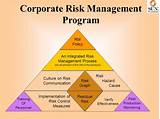 Program Risk Management Images
