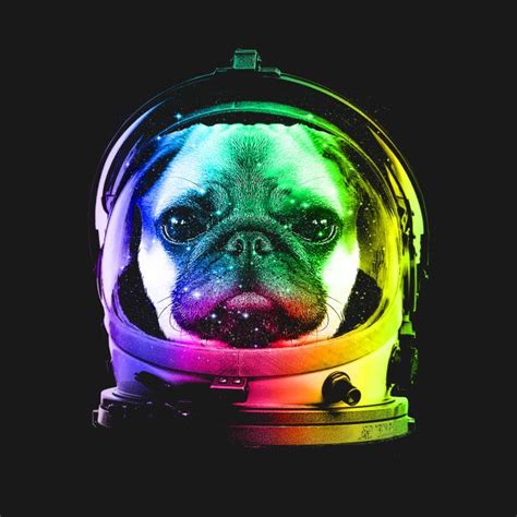 Check Out This Awesome Astronautpug Design On Teepublic Pugs