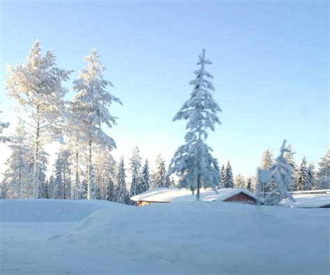 Beautiful Snowy World Cold Winter Day 23 3 Photos — Steemit