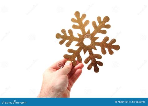 Snowflake In The Human Hand Stock Photo Image Of Snowflake Cold
