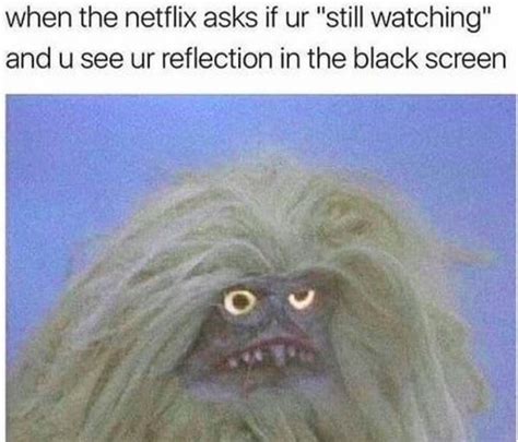 15 Funny Netflix Memes To Pass The Time Til You Can Watch Netflix Again