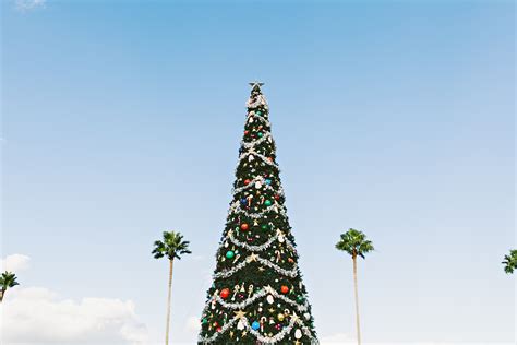 Free Images Sky Tower Palm Landmark Christmas Tree Festive