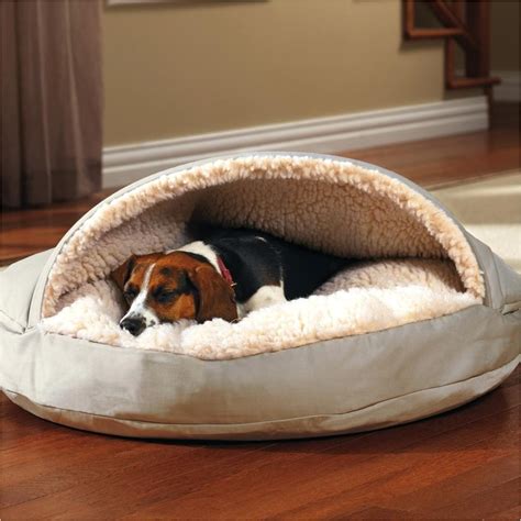 Bedside Platform Dog Bed Diy Adinaporter