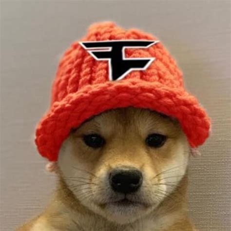 Faze Clan Dogwifhat In 2020 With Images Doggy Winter Hats Dogs
