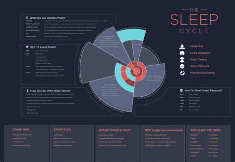 Infographic Of The Day Sleep Cycle Infographic How To Memorize Things