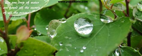 Browse top 25 famous quotes and sayings about water drops by most favorite authors. Droplets Water Quotes. QuotesGram
